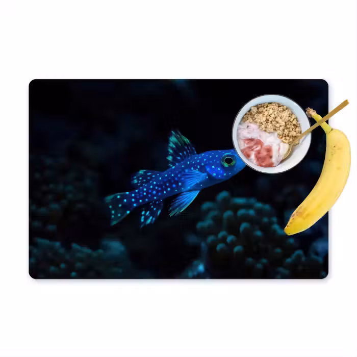 Tischset - 6 Stück - Fische - Punkte - Koralle - Blau