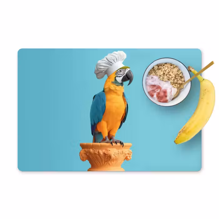 Tischset - 6 Stück - Papagei - Kochmütze - Lustig - Vogel