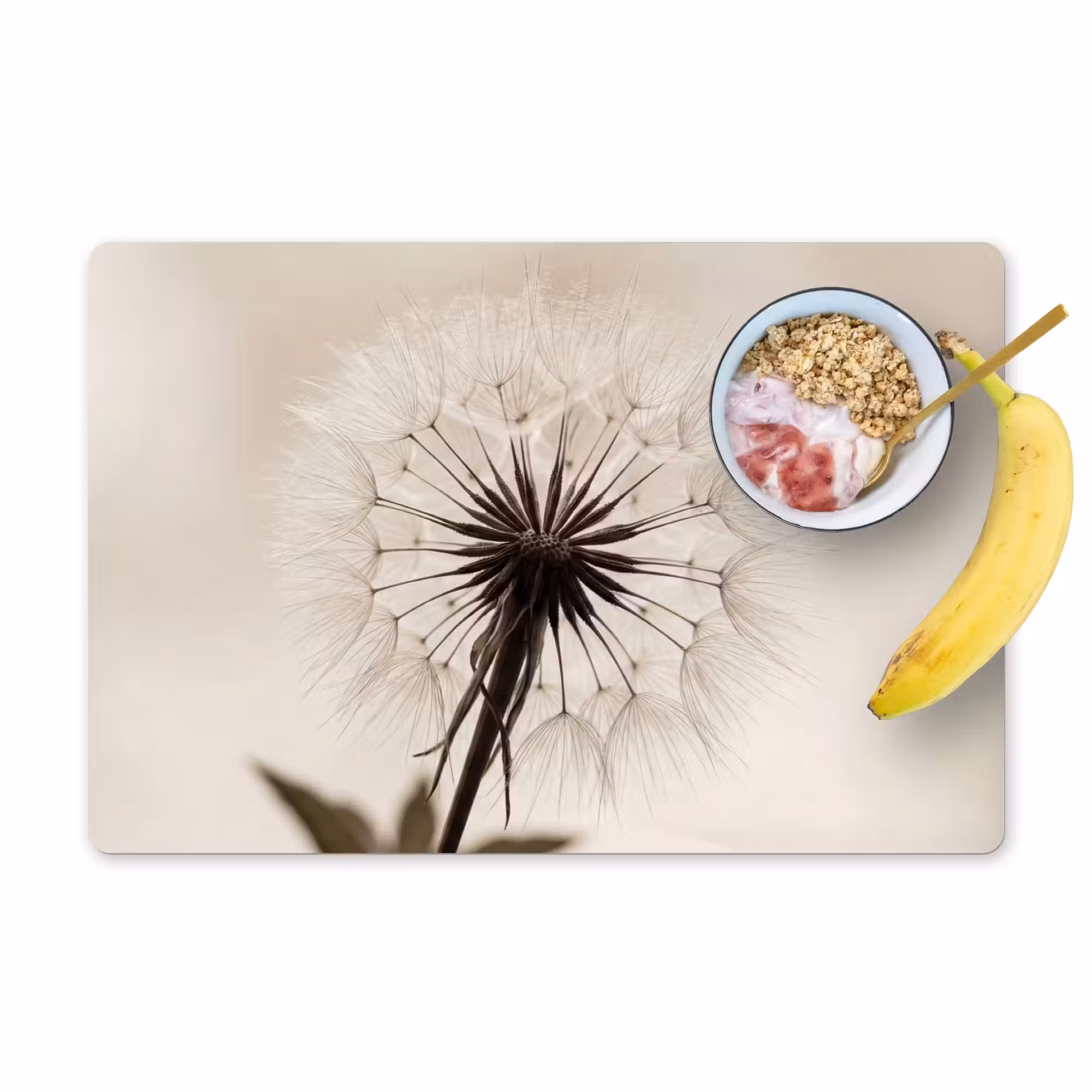 Tischset - 6 Stück - Pusteblume - Minimalistisch - Weiß