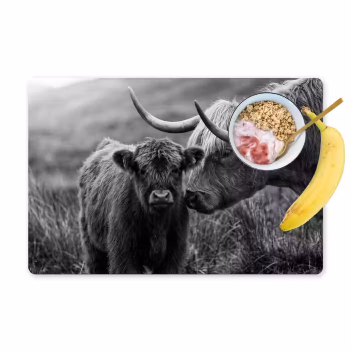 Tischset - 6 Stück - Schottischer Highlander - Kalb - Schwarz - Weiß