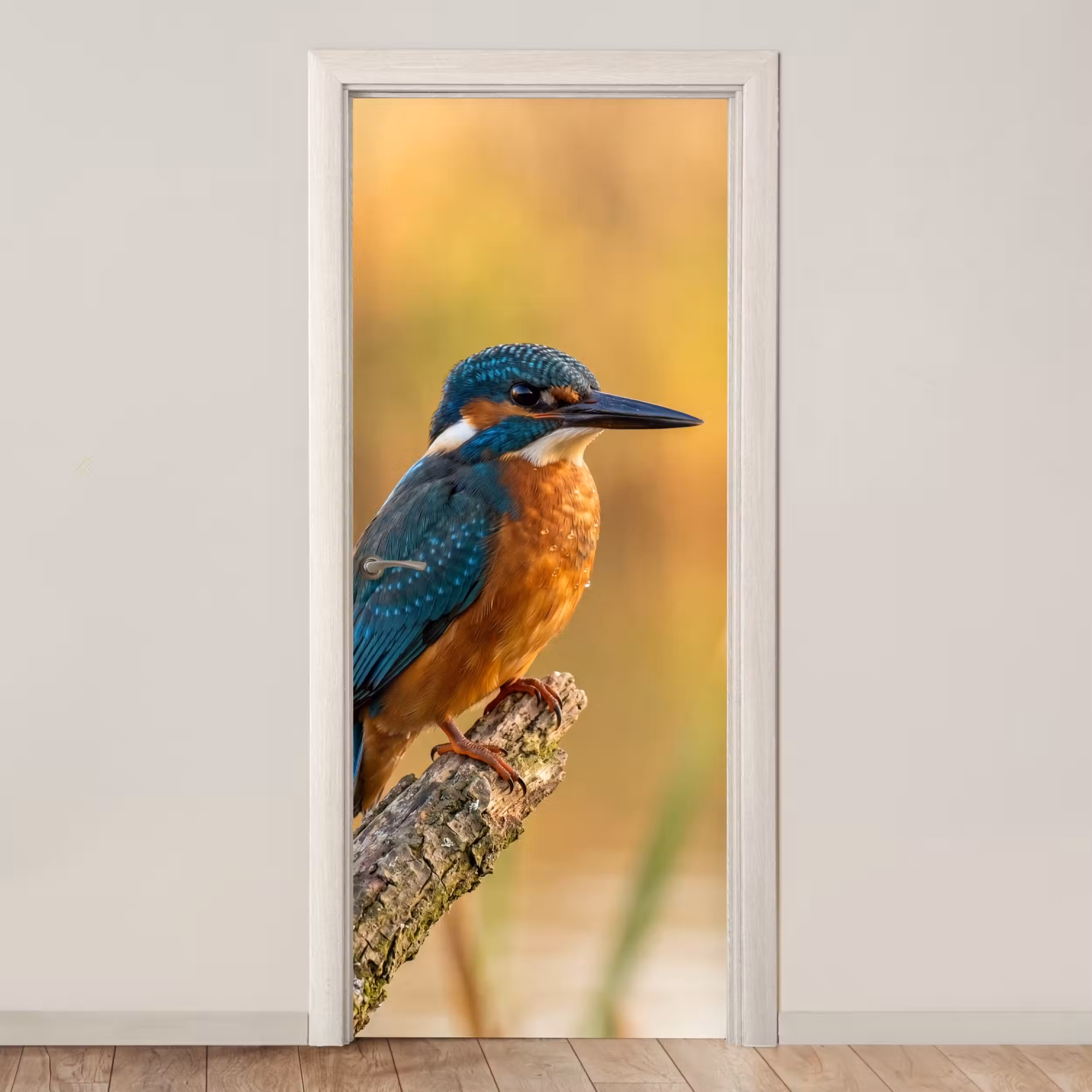 Türtapete - Eisvogel - Zweig - Wasser - Bunt - Lebendig
