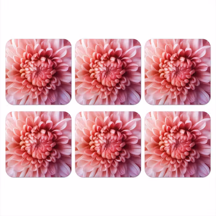 Untersetzer​ - Dahlie - Blume - Nahaufnahme - Rosa