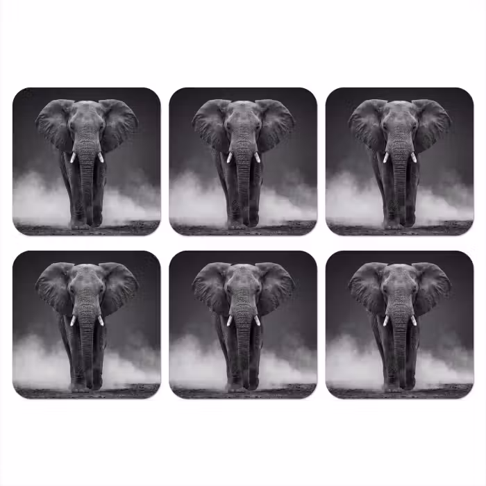 Untersetzer​ - Elefant - Schwarz - Weiß - Rauch