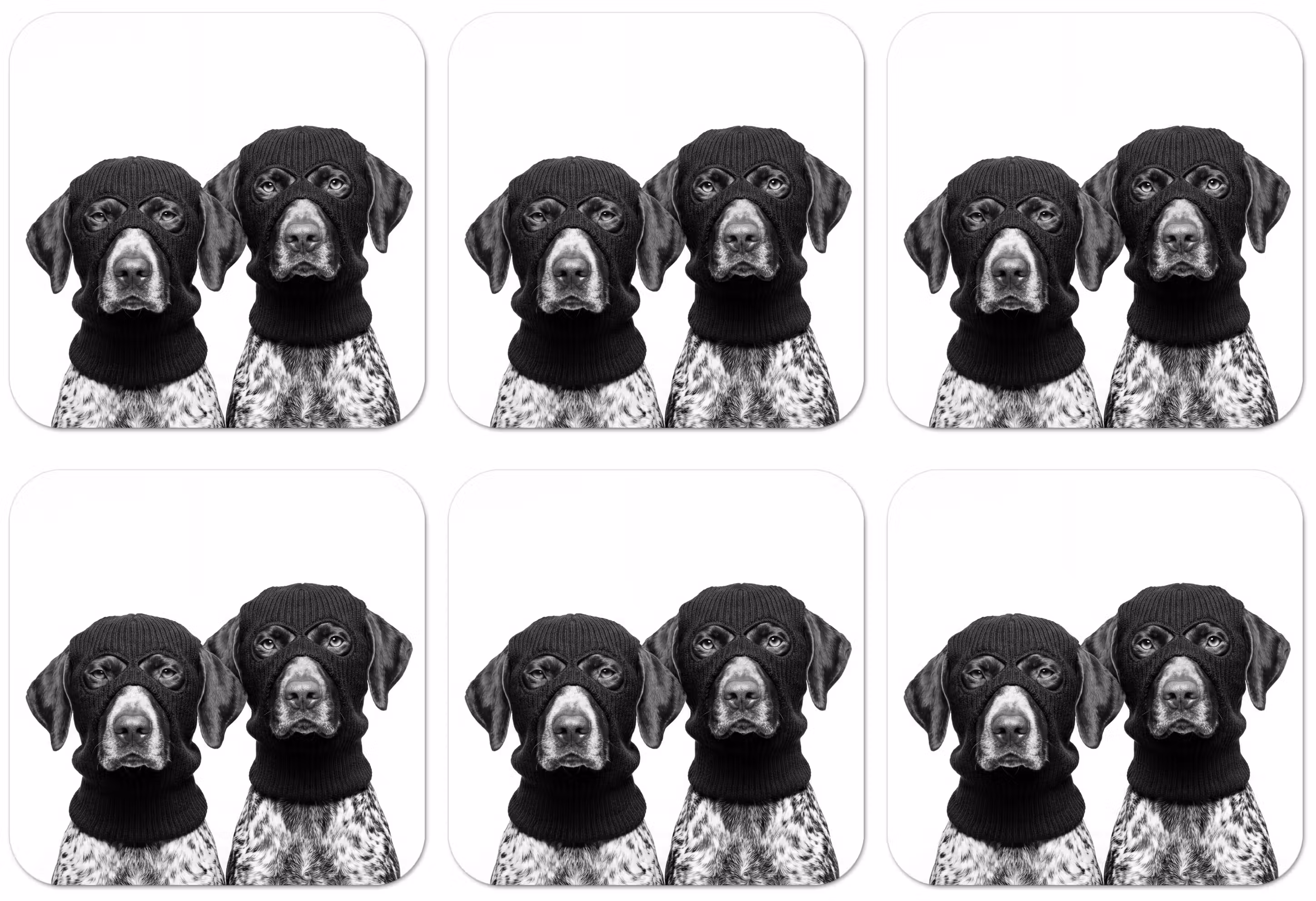 Untersetzer​ - Hunde - Balaclava - Schwarz - Weiß