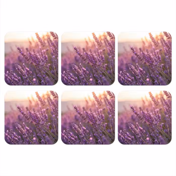 Untersetzer - Lavendel - Lila - Sonnenlicht