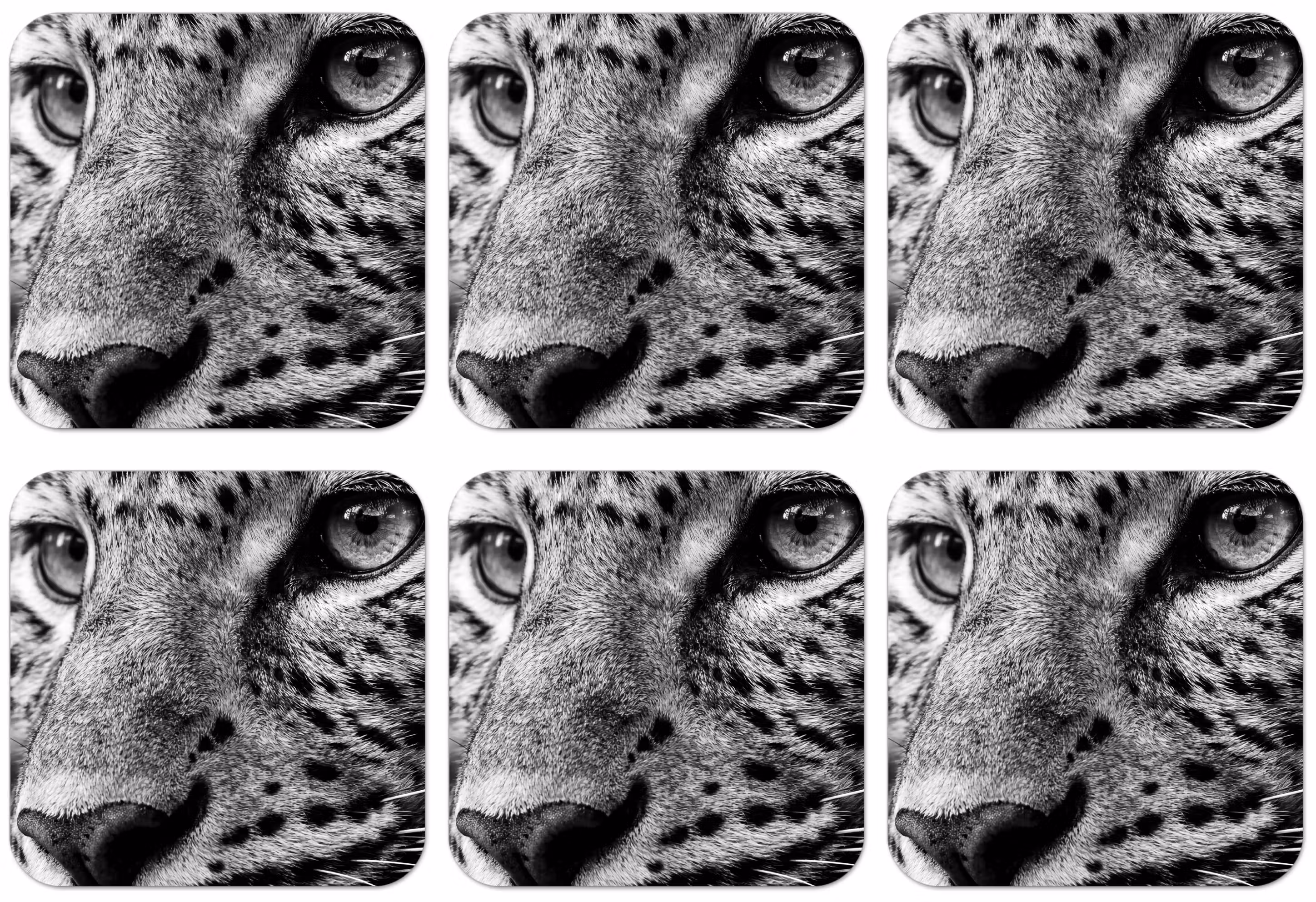 Untersetzer​ - Leopard - Schwarz - Weiß - Auge