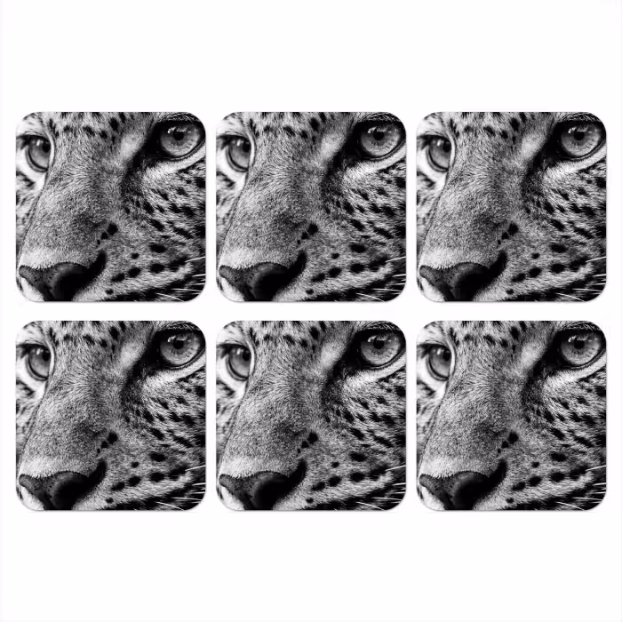 Untersetzer​ - Leopard - Schwarz - Weiß - Auge