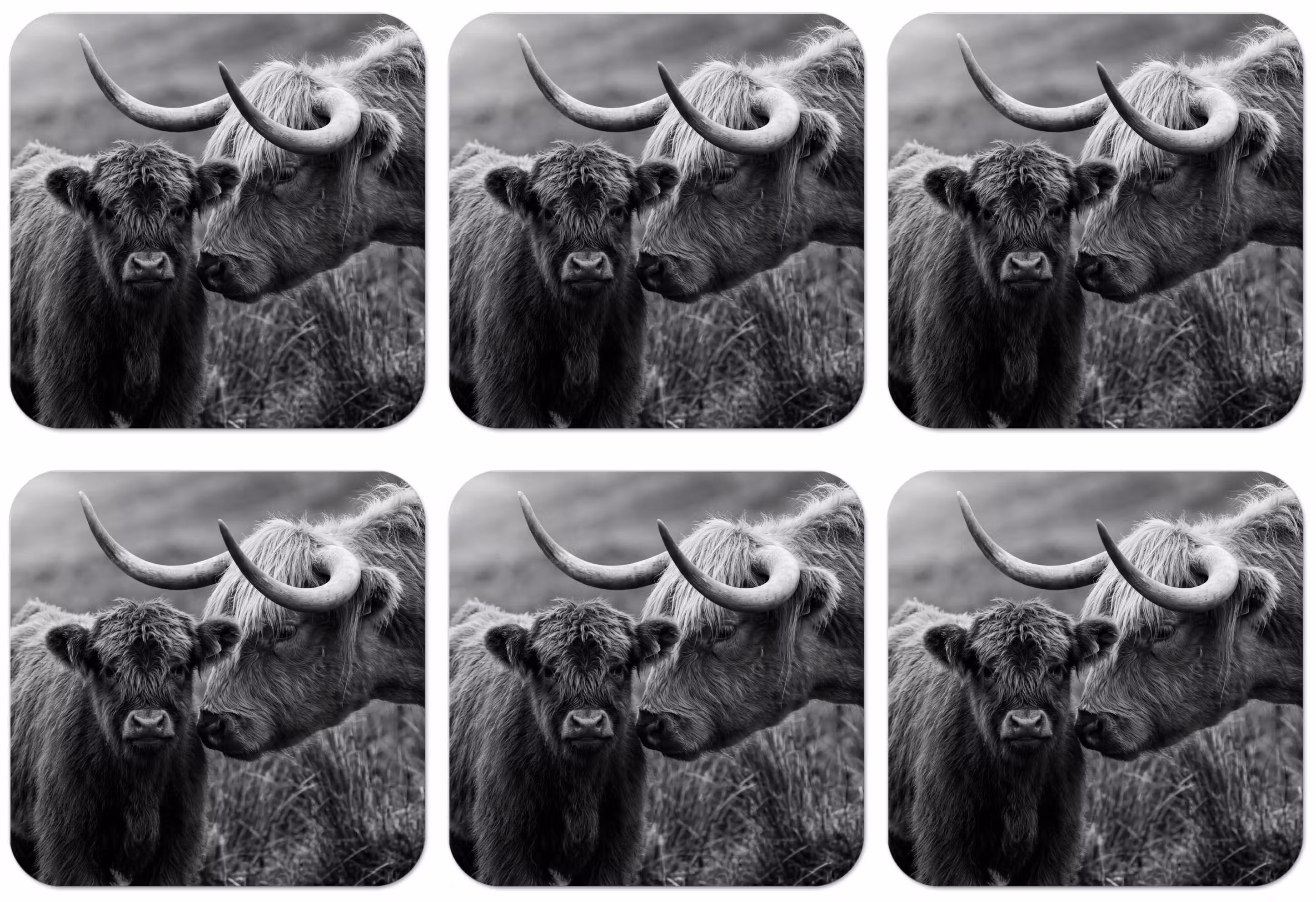 Untersetzer​ - Schottischer Highlander - Kalb - Schwarz - Weiß