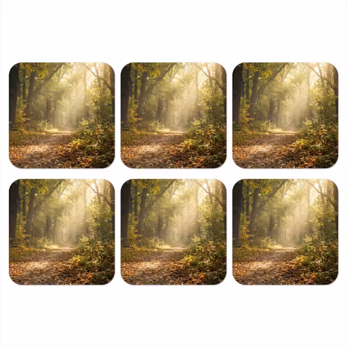 Untersetzer​ - Sonnenlicht - Waldweg - Bäume