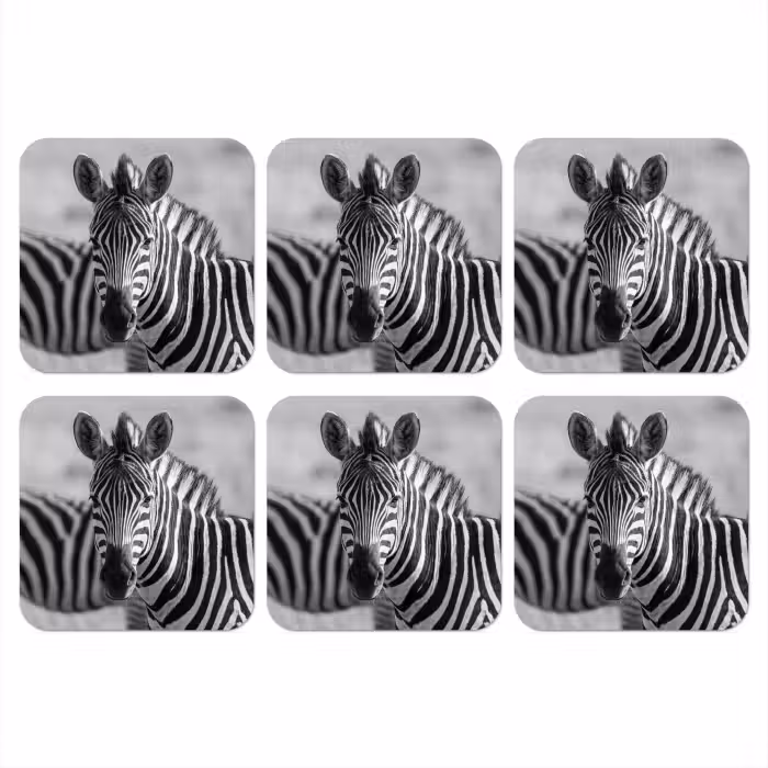 Untersetzer​ - Zebras - Schwarz - Weiß