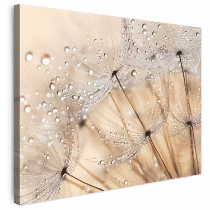 Leinwandbild - Löwenzahn - Abstrakt - Natur - Beige