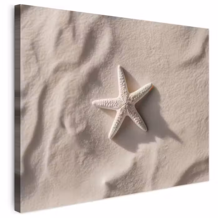 Leinwandbild - Strand - Seestern - Sand - Beige