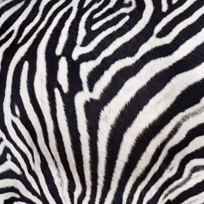 Tapete - Zebra - Mantel - Klassisch - Schwarz - Weiß