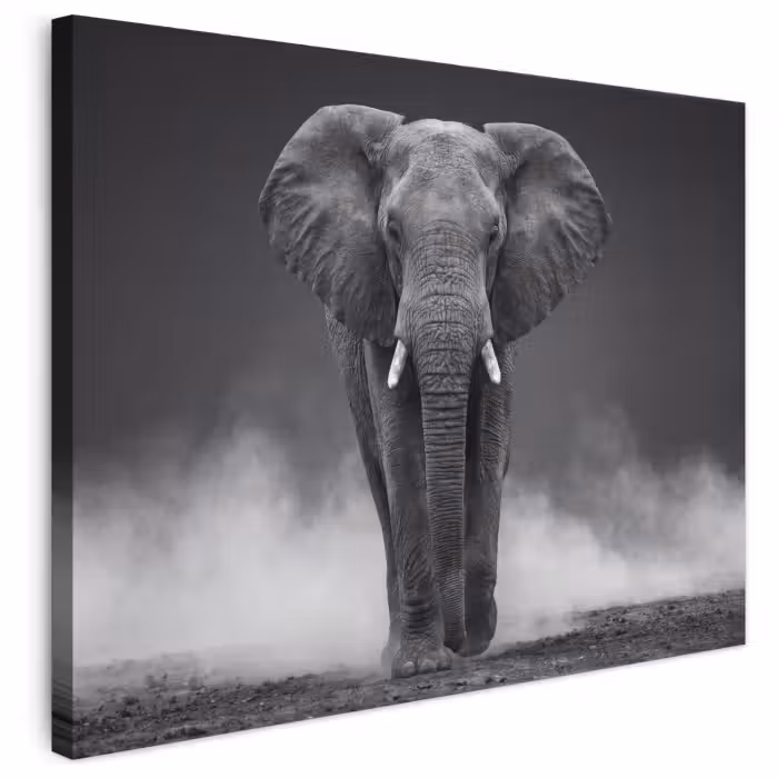 Leinwandbild - Elefant - Schwarz - Weiß - Rauch