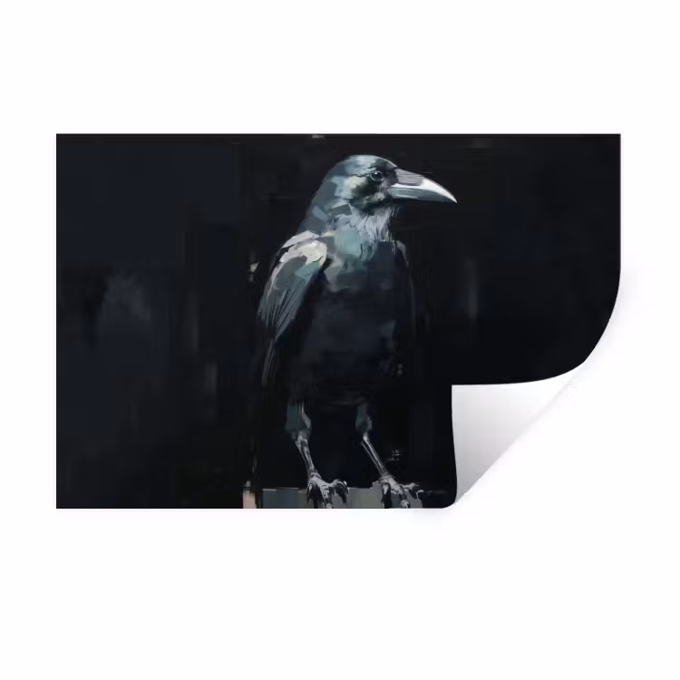 Wandtattoo – Rabe - Vögel - Schwarz — 1