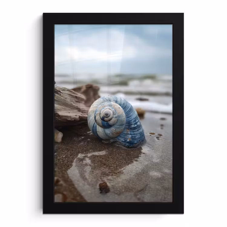 Bilder mit Rahmen - Muschel - Strand - Blau - Meer — 1
