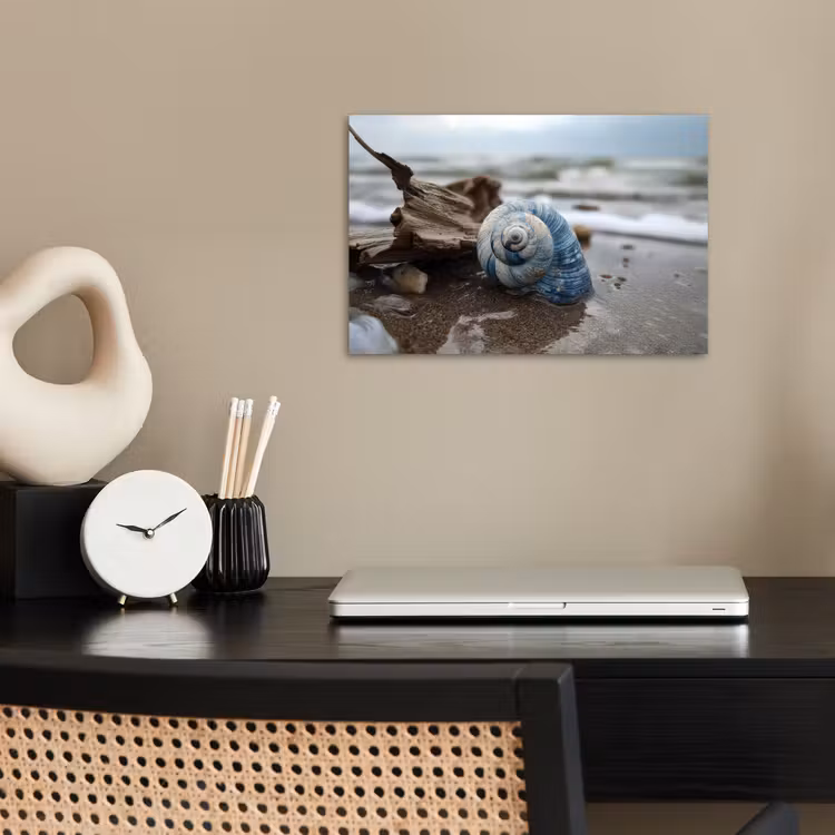 Poster - Muschel - Strand - Blau - Meer — 2