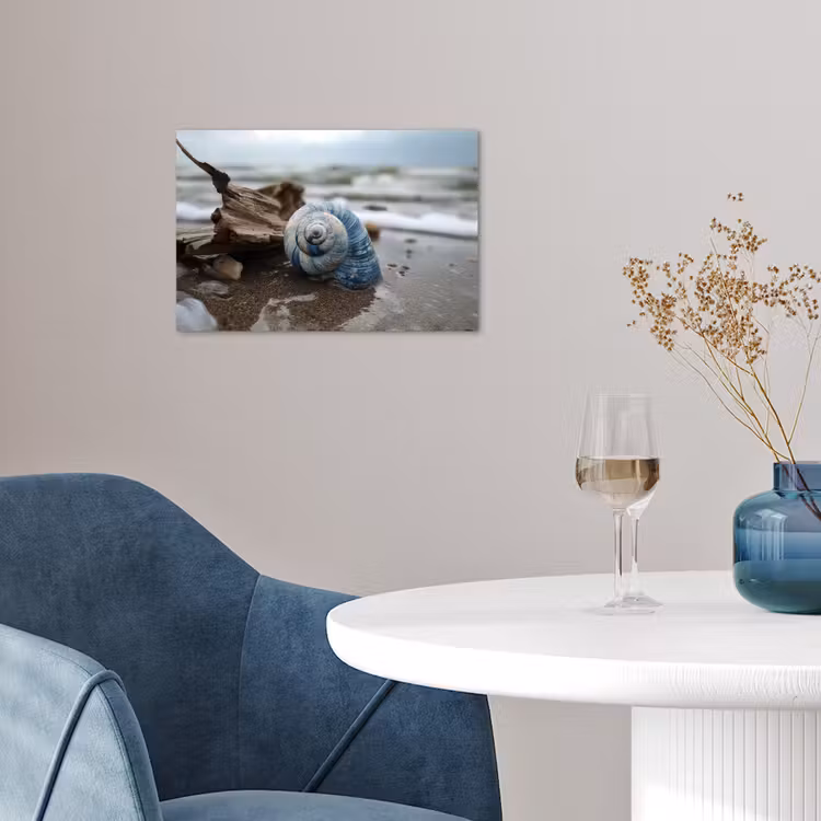 Poster - Muschel - Strand - Blau - Meer — 4