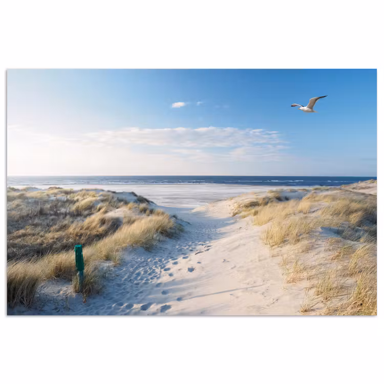 Poster - Düne - Möwe - Strand - Meer - Sonne — 1