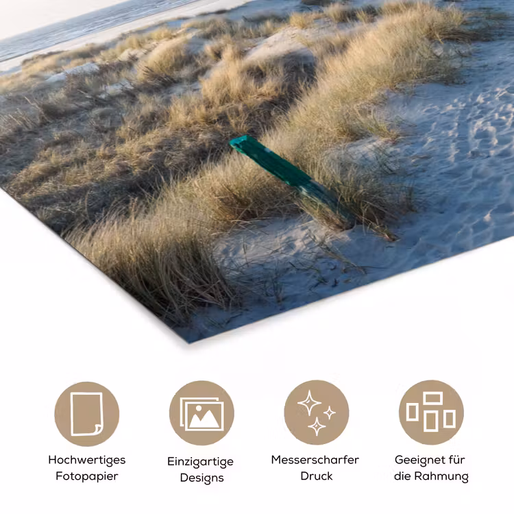 Poster - Düne - Möwe - Strand - Meer - Sonne — 5