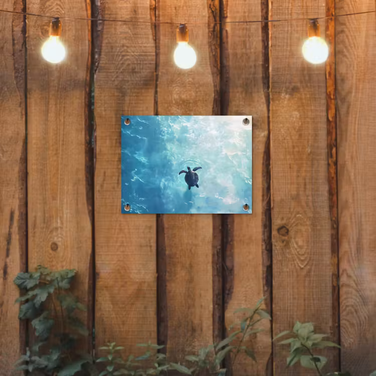 Gartenposter - Schildkröte - Meer - Blau - Glitzern — 2