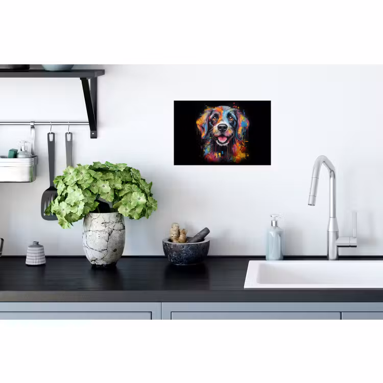Wandtattoo – Graffiti - Hund - Schwarz - Farben — 2