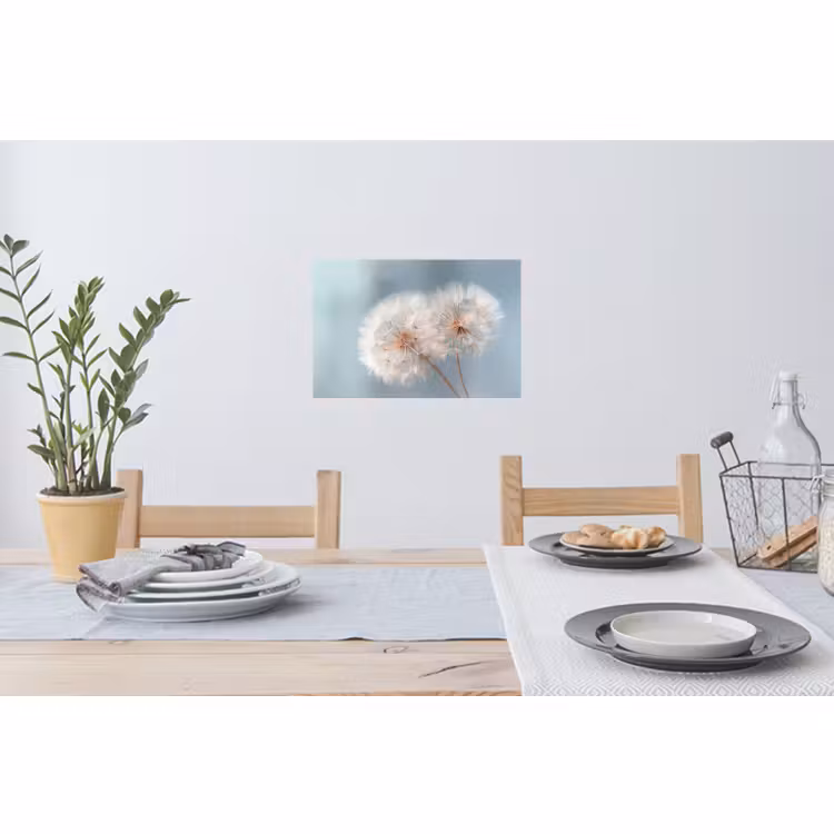 Wandtattoo – Pusteblumen - Flauschig - Weiß — 4