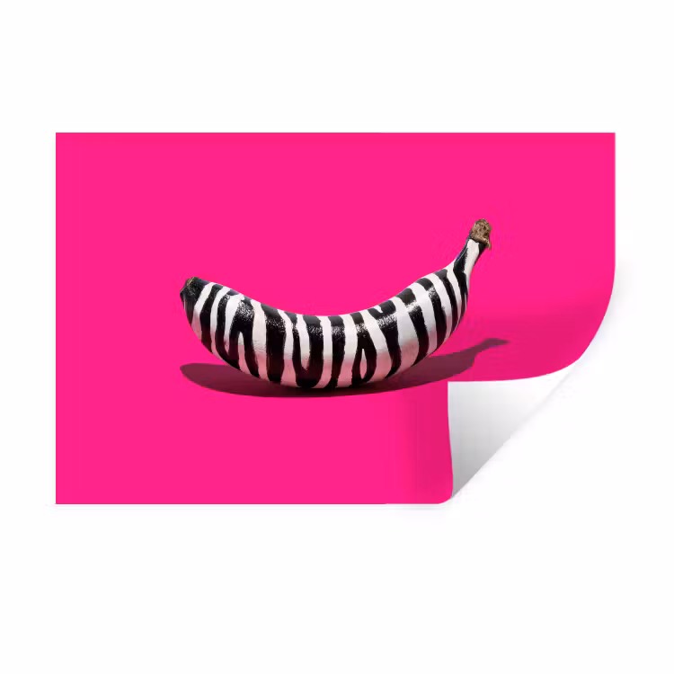 Wandtattoo – Banane - Zebramuster - Rosa — 1