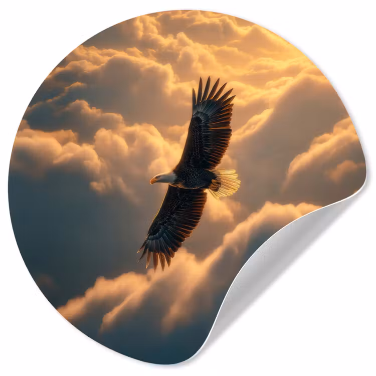 Runde Tapete - Adler - Wolken - Sonne — 1