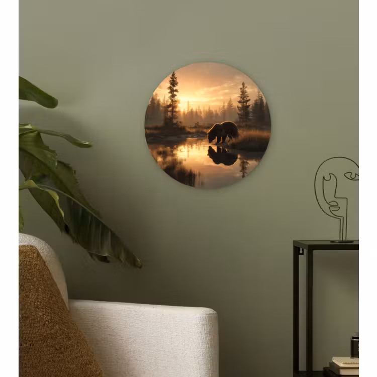 Forexbild Rund - Bär - Wasser - Wald - Morgenlicht — 3