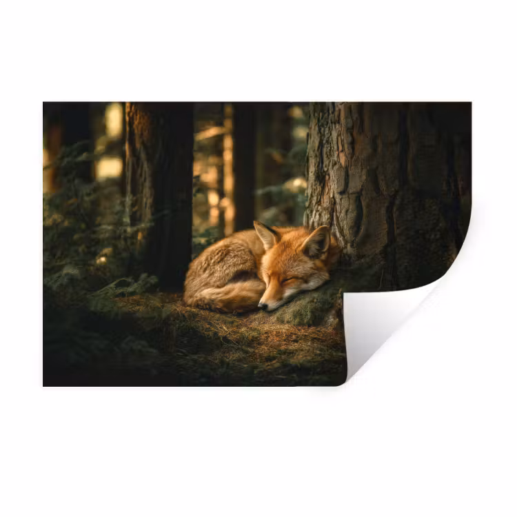 Wandtattoo – Fuchs - Wald - Schlaf — 1