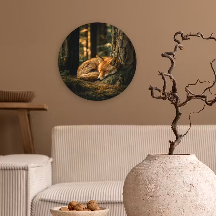 Forexbild Rund - Fuchs - Wald - Schlaf — 2