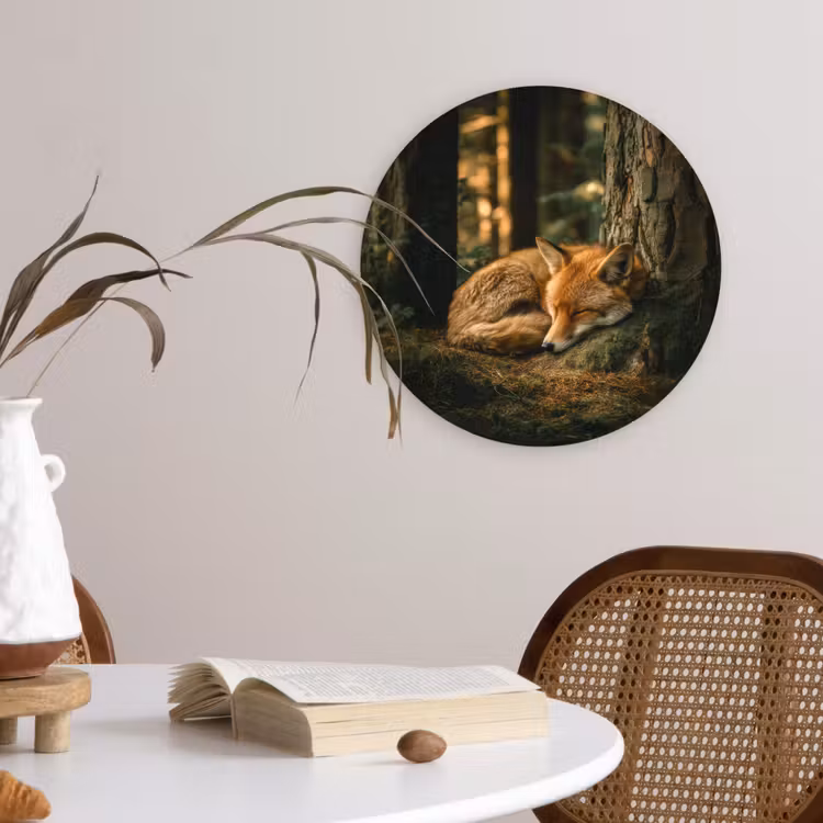 Forexbild Rund - Fuchs - Wald - Schlaf — 4