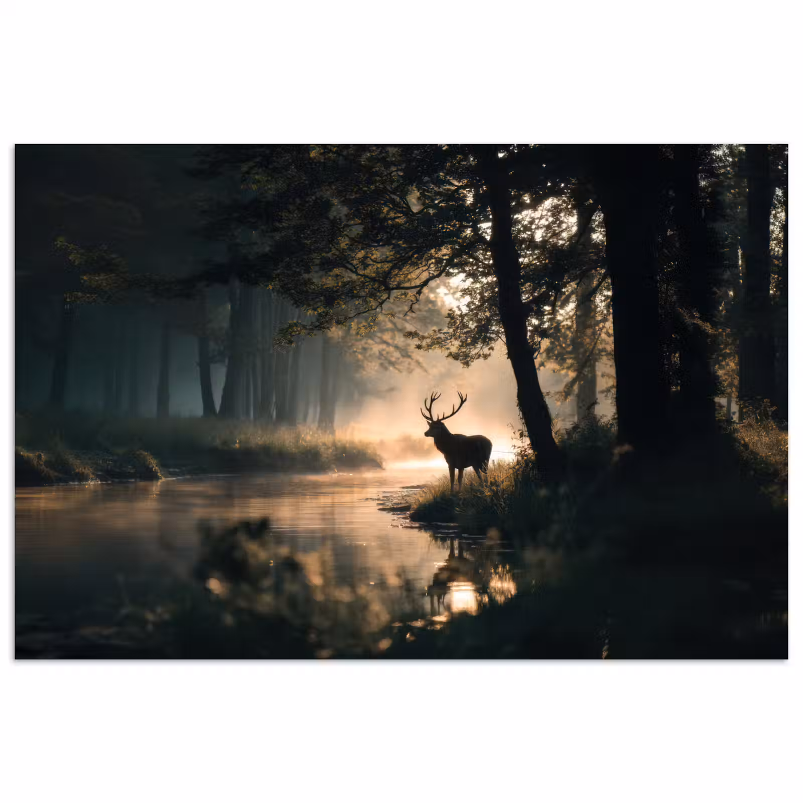 Poster - Hirsche - Waldbach - Mystisch — 1