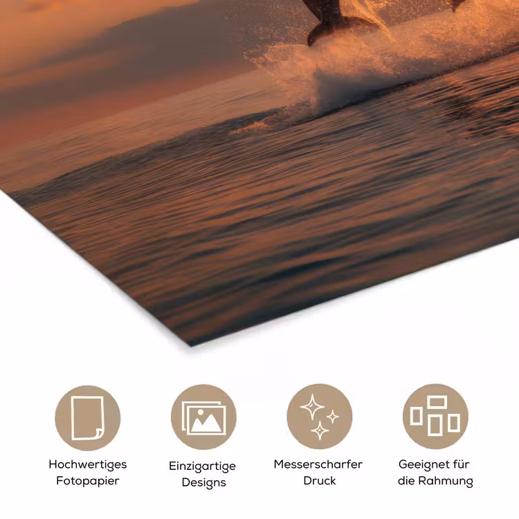 Poster - Delfine - Meer - Realistisch — 5