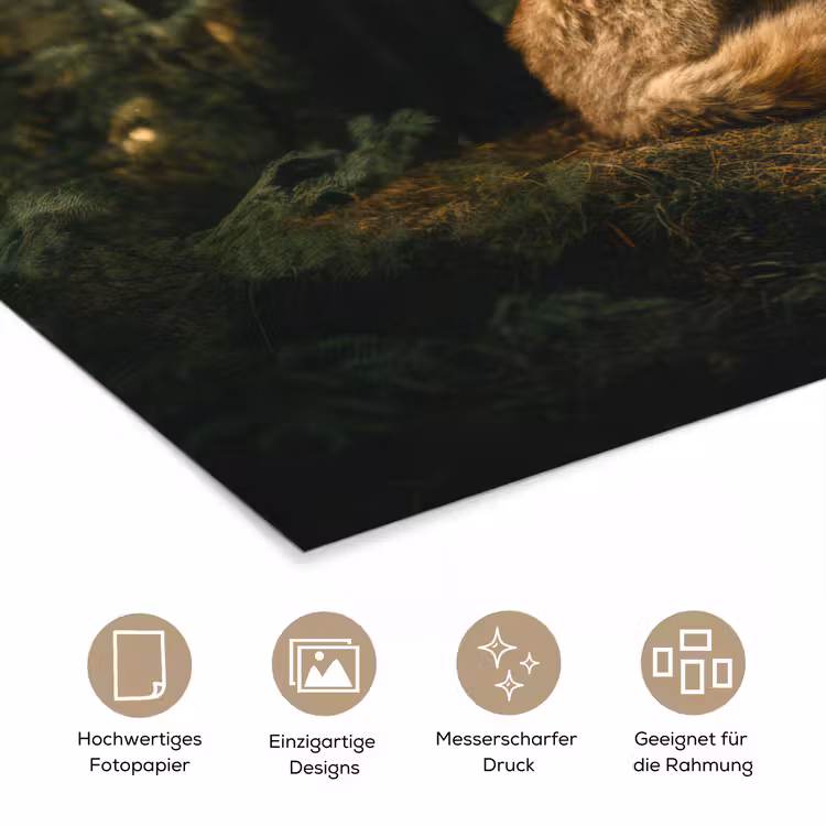 Poster - Fuchs - Wald - Schlaf — 5