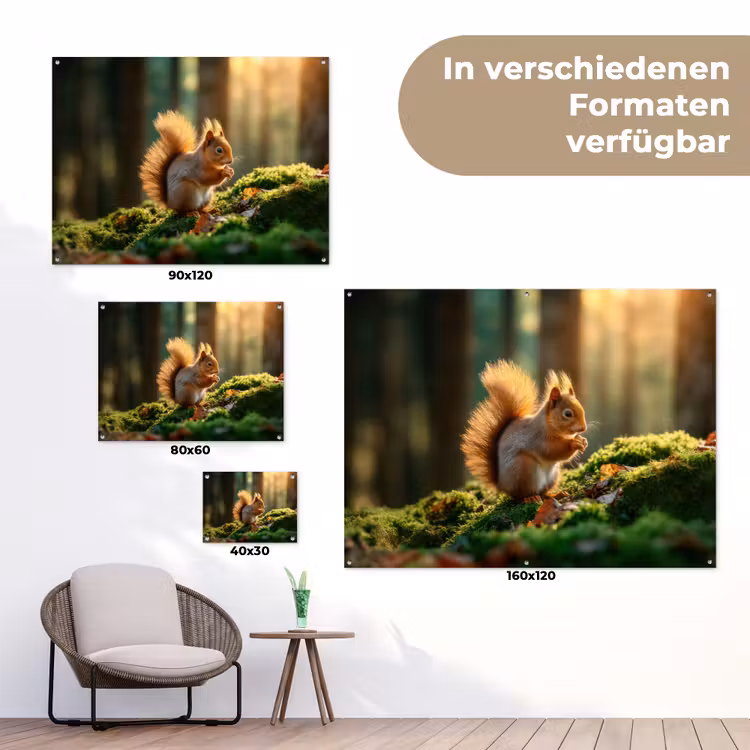 Gartenposter - Eichhörnchen - Nuss - Gras — 6