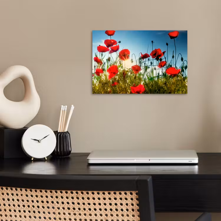 Poster - Mohnblumen - Toskana - Sonne - Rot - Blau — 2