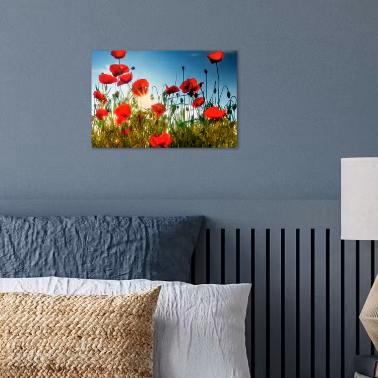 Poster - Mohnblumen - Toskana - Sonne - Rot - Blau — 3