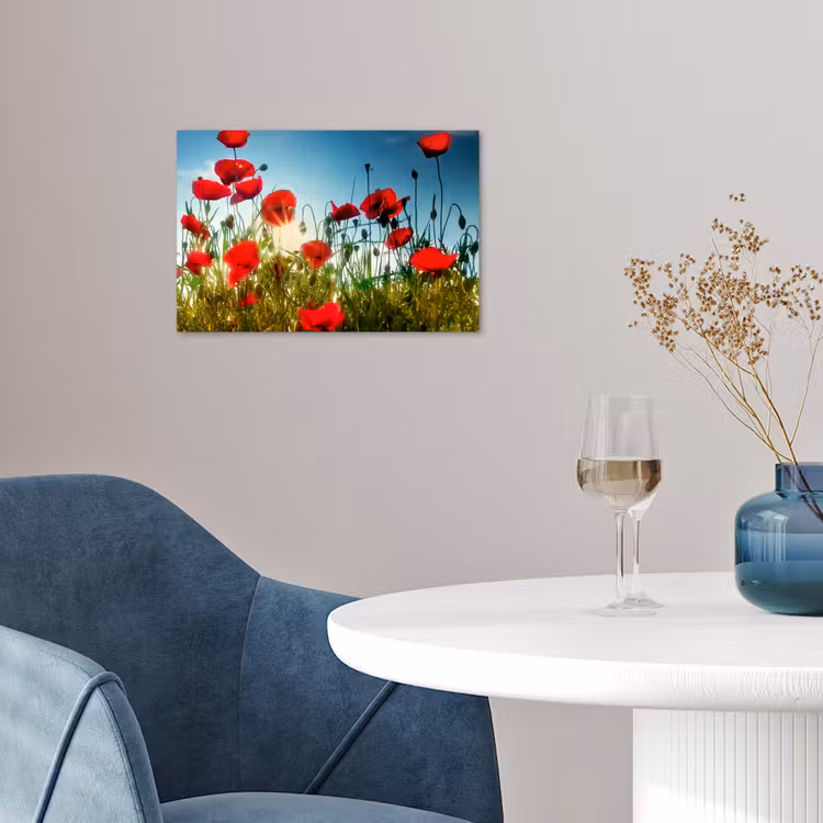 Poster - Mohnblumen - Toskana - Sonne - Rot - Blau — 4