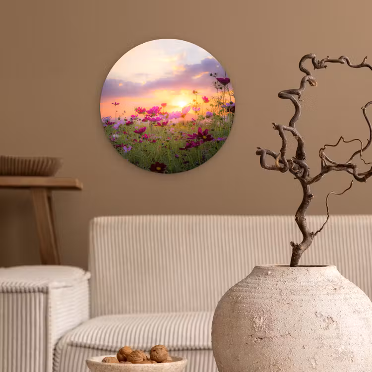 Forexbild Rund - Blumen - Rosa - Sonnenuntergang - Natur - Wiese - Horizont — 2