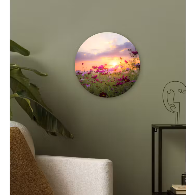 Forexbild Rund - Blumen - Rosa - Sonnenuntergang - Natur - Wiese - Horizont — 3