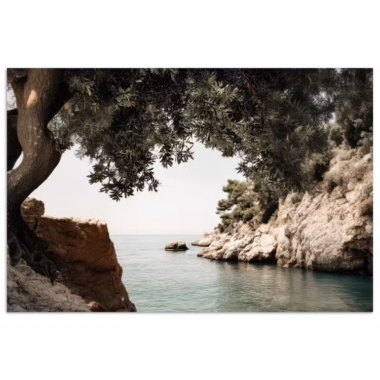 Poster - Felsen - Meer - Baum - Grün — 1