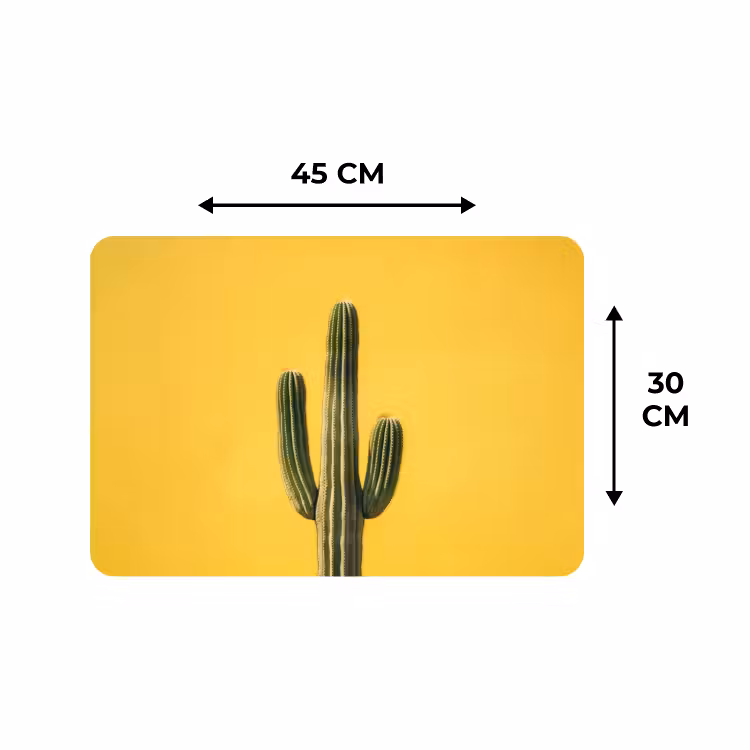 Tischset - 6 Stück - Kaktus - Grün - Minimalistisch — 3
