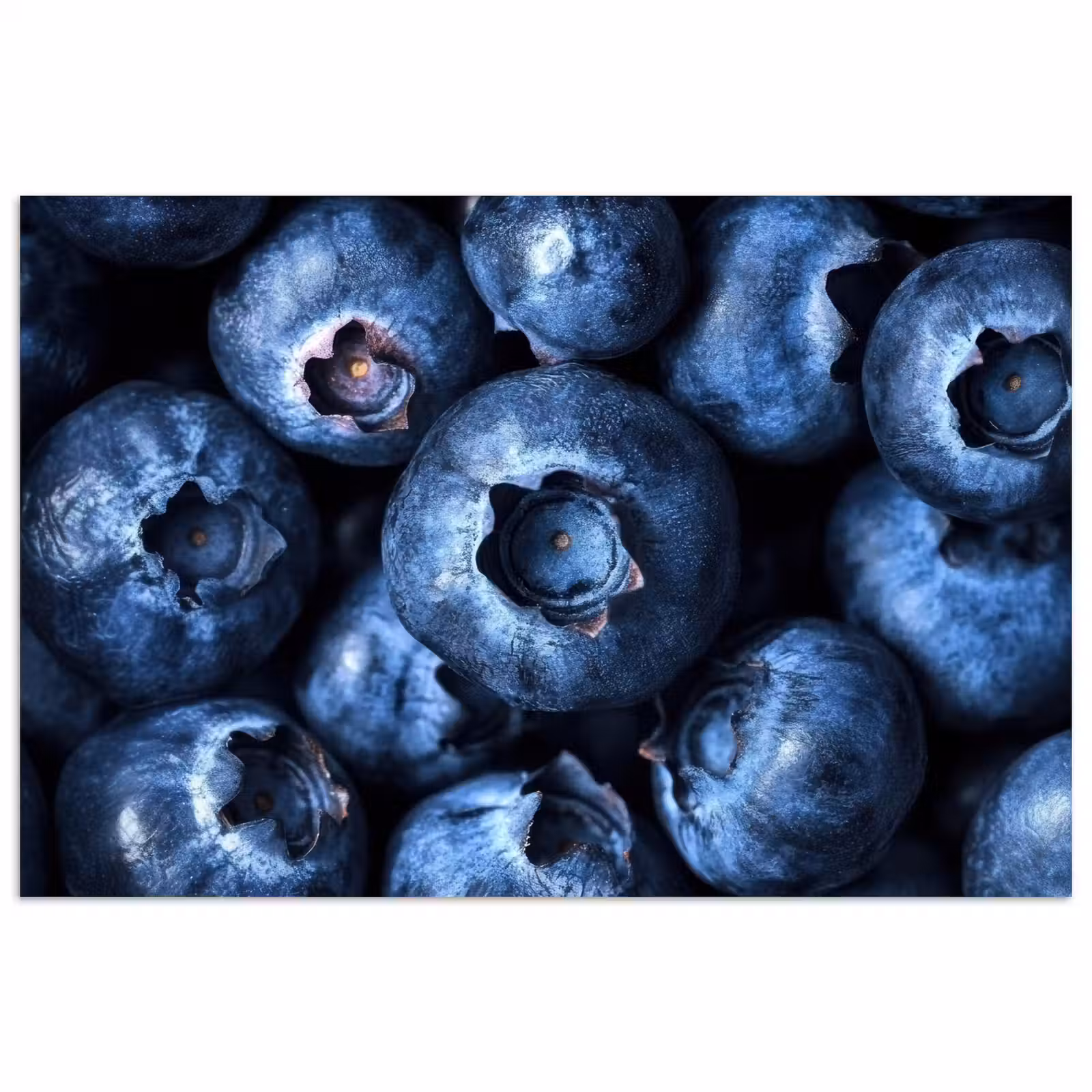 Poster - Beeren - Blau - Obst — 1