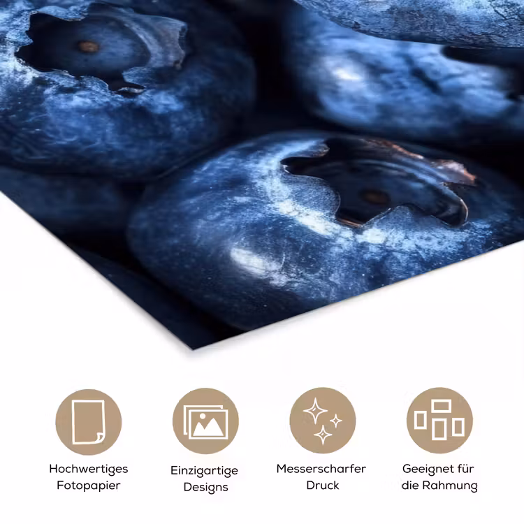 Poster - Beeren - Blau - Obst — 5