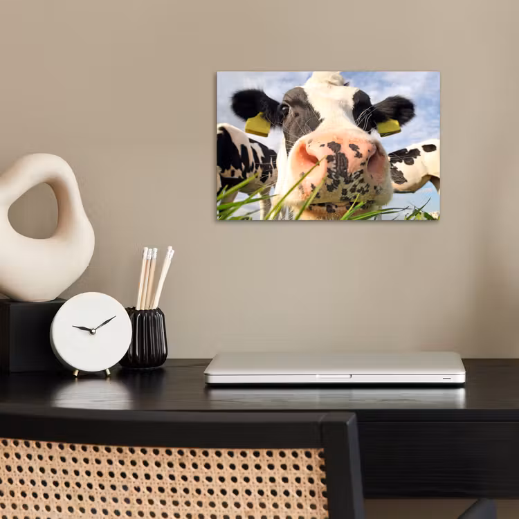 Poster - Kuh - Bauernhof - Gras - Tiere — 2