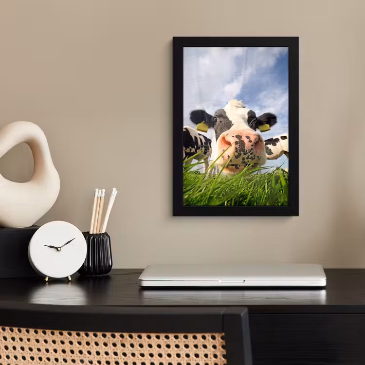 Bilder mit Rahmen - Kuh - Bauernhof - Gras - Tiere — 2