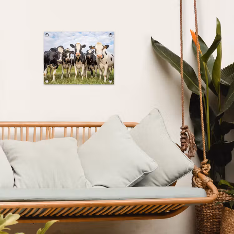 Gartenposter - Neugierige Kühe auf der Wiese — 4