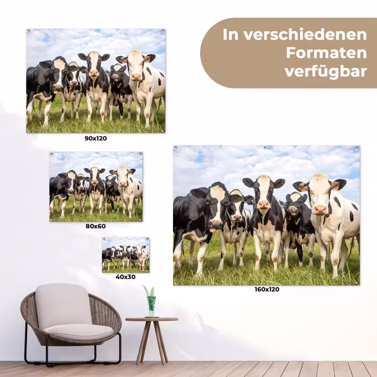 Gartenposter - Neugierige Kühe auf der Wiese — 6
